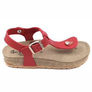 ????????? ????????? ??????? - ??????? 2045