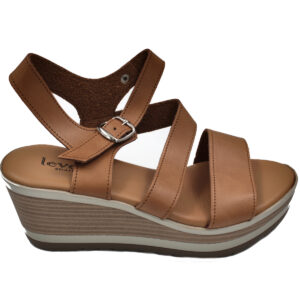 ????????? ????????? ?????????- ????? 2076