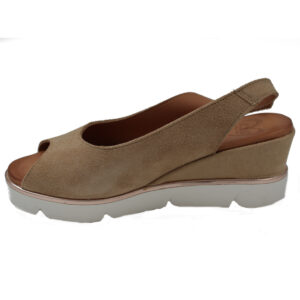 ????????? ????????? ?????????- ???? 2079