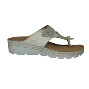 ????????? ????????? ??????? - ???? 2555