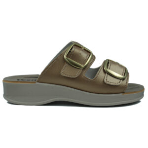 ????????? ????????? ???????? - ????? 433