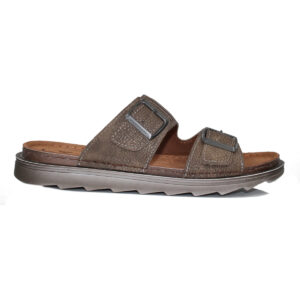 ????????? ??????? ??????? - ???? 591